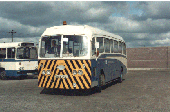 Leopard 540 - click for full-size image!