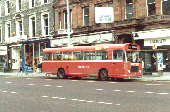 RELL 784 - click for full-size image!