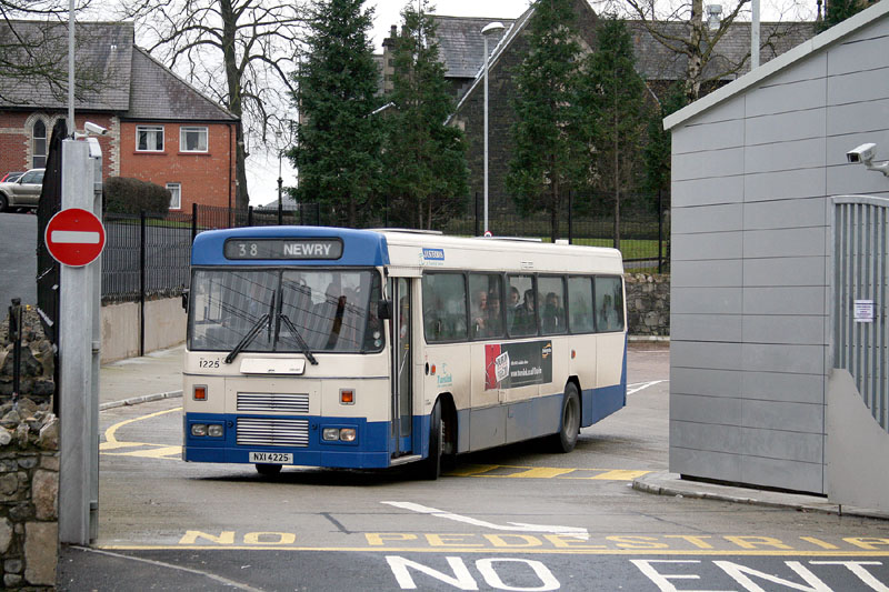 Tiger 1225 - Lisburn - Feb 2009 (Paul Savage)