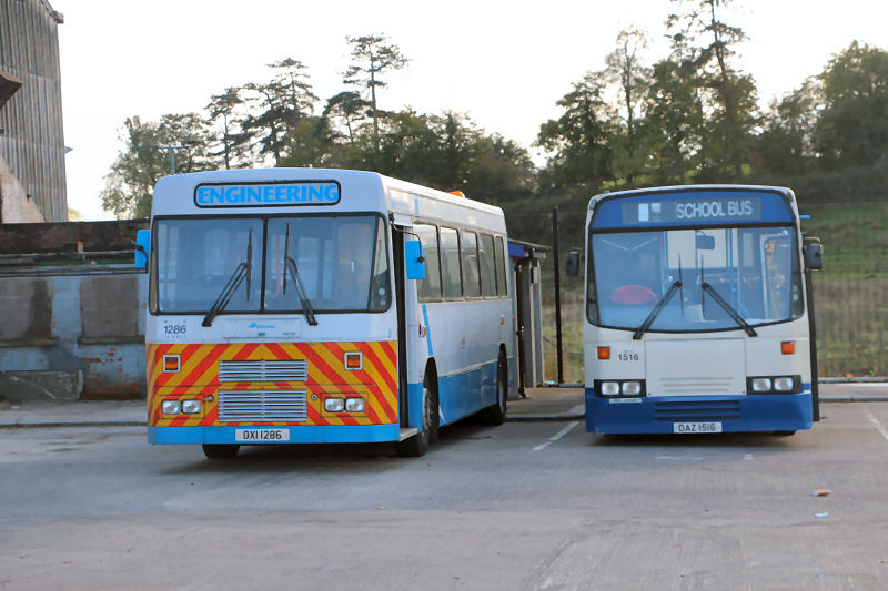 Tiger 1286, B10M 1516  - Dungannon - Oct 2013  [ Hugo Ho ]