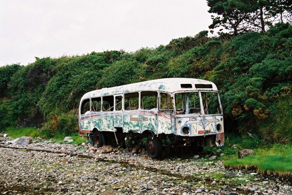 Former Tiger Cub/UTA 424 (7424 CZ) - Tawny - July 2002