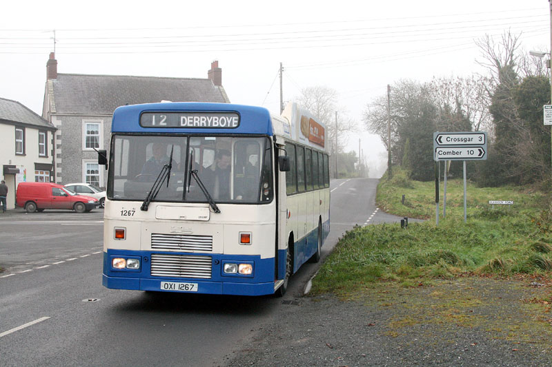 Tiger 1267 - Derryboye- November 2008 [Paul Savage]