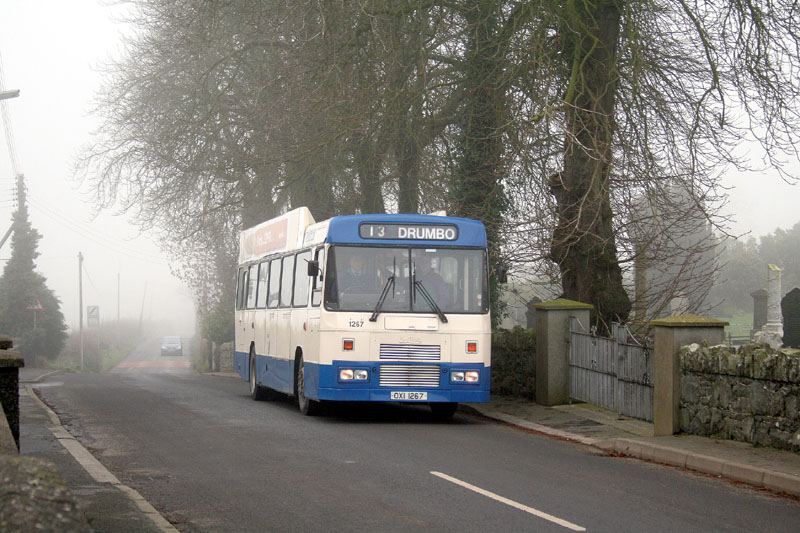 Tiger 1267 - Drumbo - November 2008 [Paul Savage]